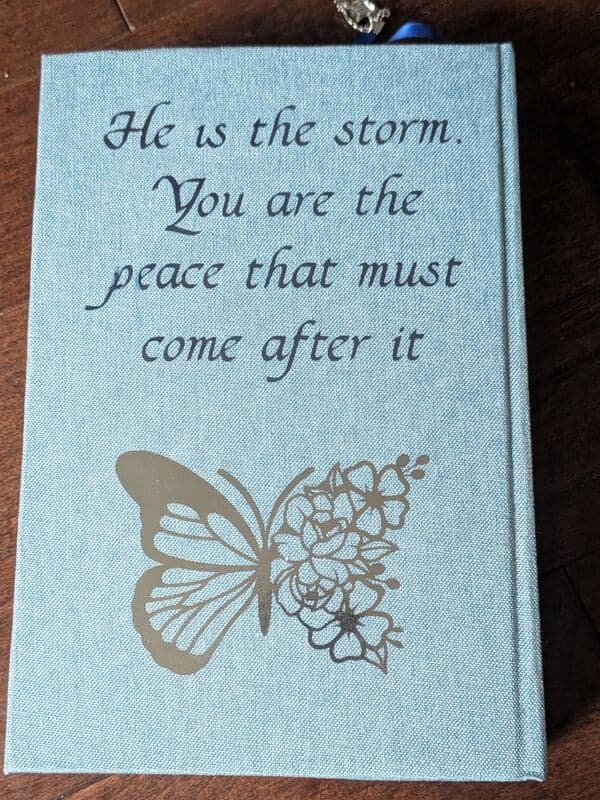 Quicksilver back cover with butterfly detail